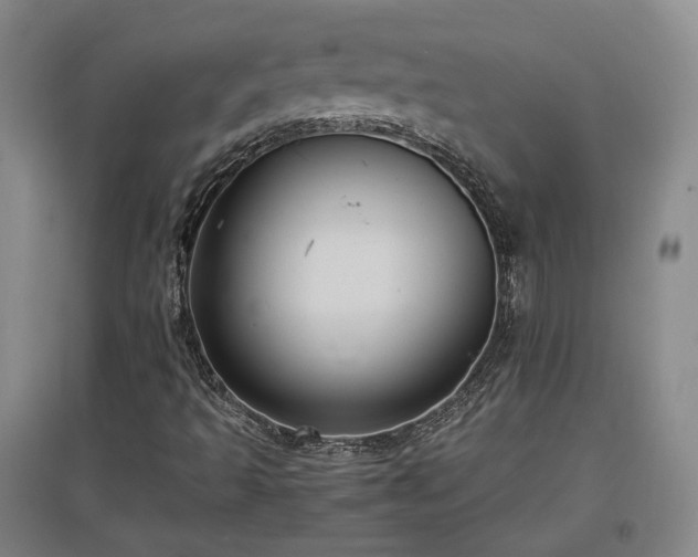X0000097501493200802221432