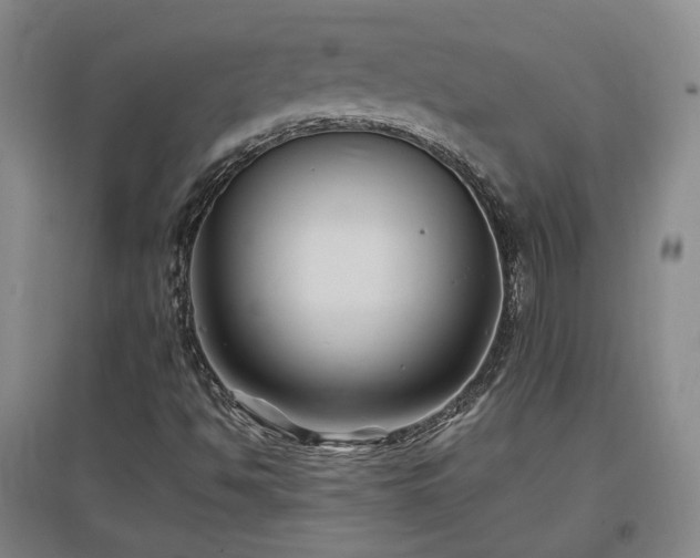 X0000097501494200802221432