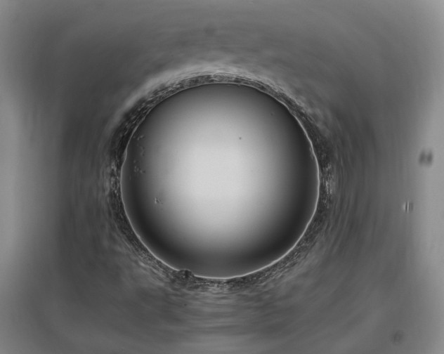 X0000097501495200802221432