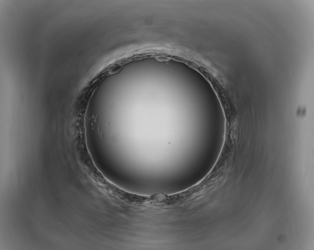 X0000097501496200802221432