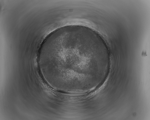 X0000097501497200802221432
