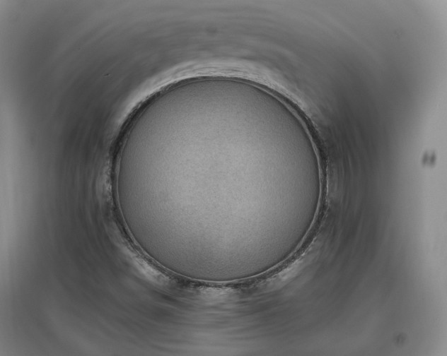 X0000097501498200802221432