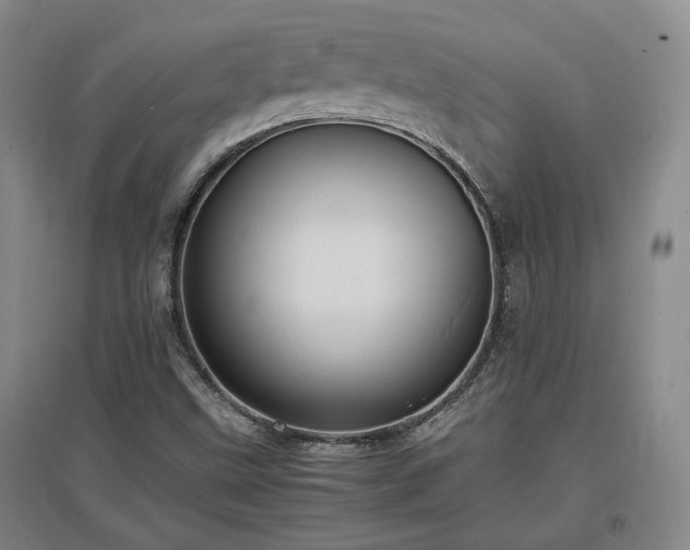 X0000097501499200802221432