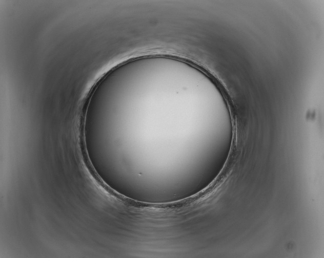 X0000097501500200802221432