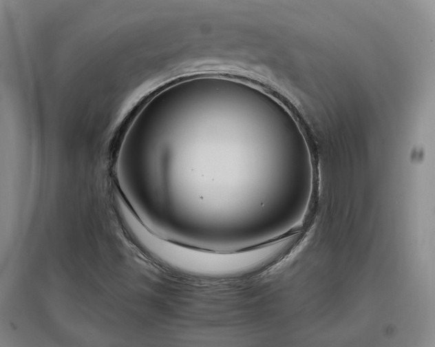X0000097501501200802221432