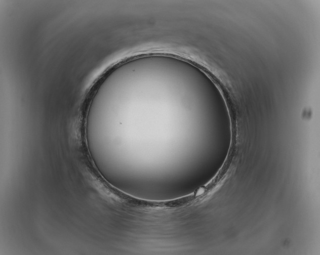 X0000097501502200802221433