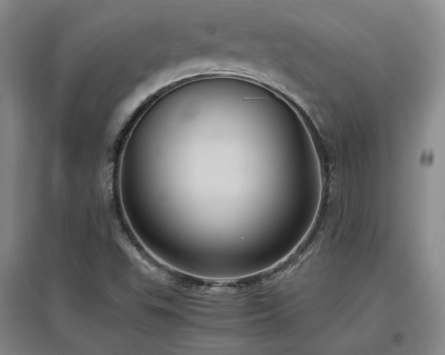 X0000097501503200802221433