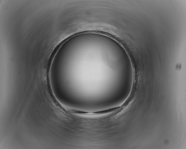 X0000097501505200802221433