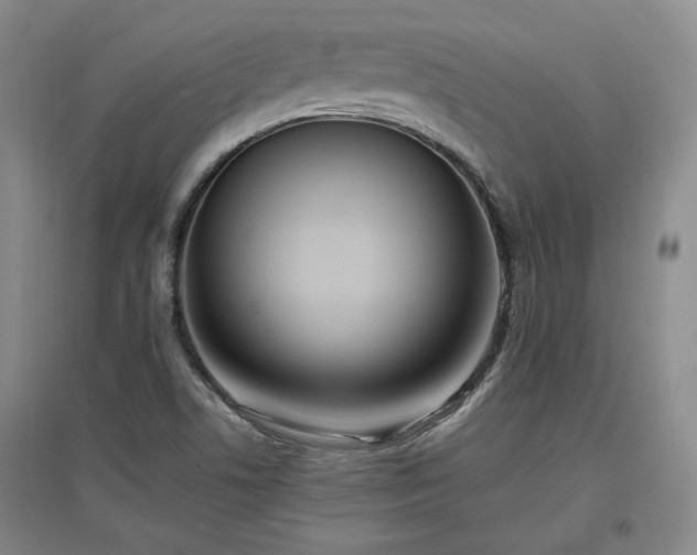 X0000097501506200802221433