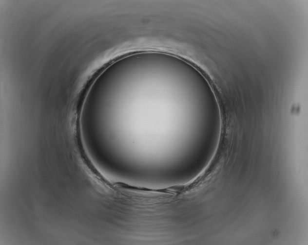 X0000097501507200802221433
