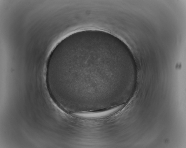 X0000097501508200802221433
