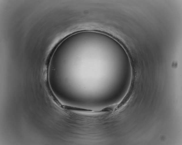 X0000097501509200802221433