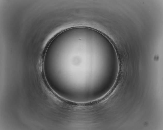 X0000097501510200802221433