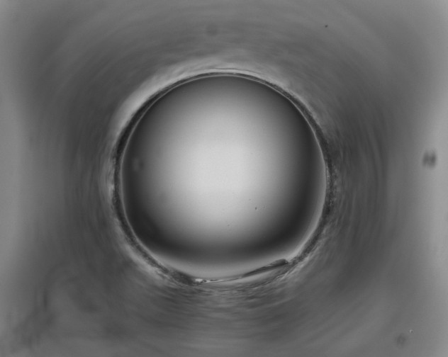 X0000097501511200802221433
