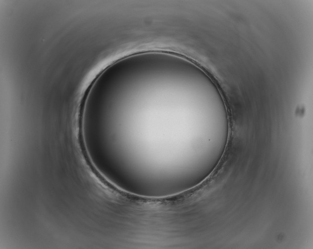 X0000097501512200802221433