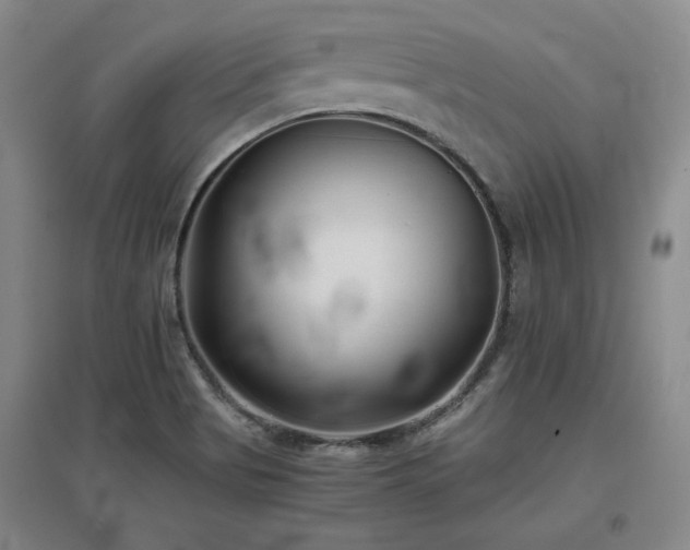 X0000097501513200802221433