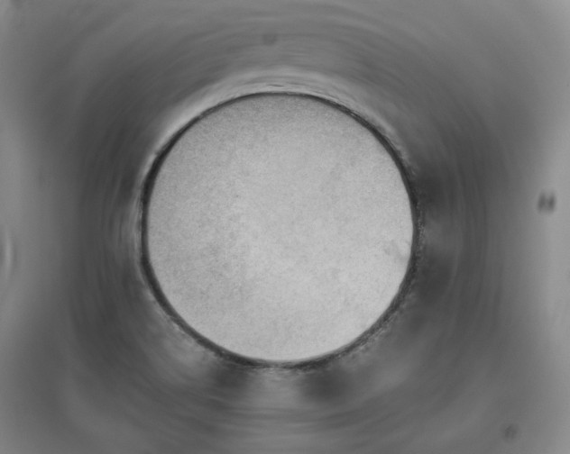 X0000097501514200802221433
