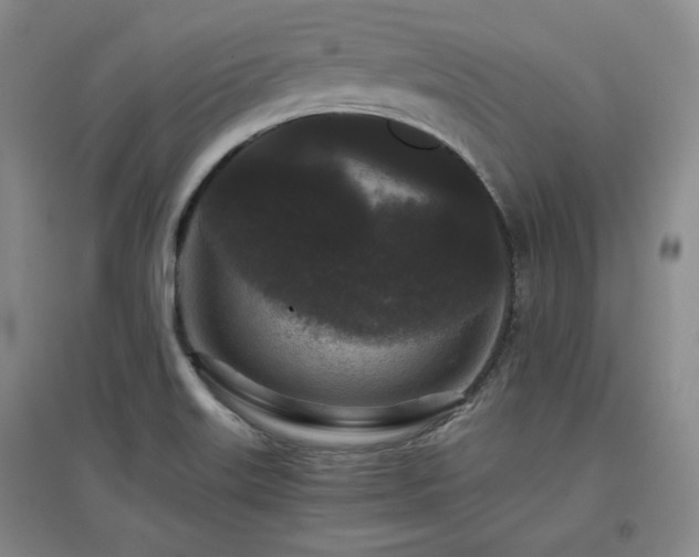 X0000097501515200802221433