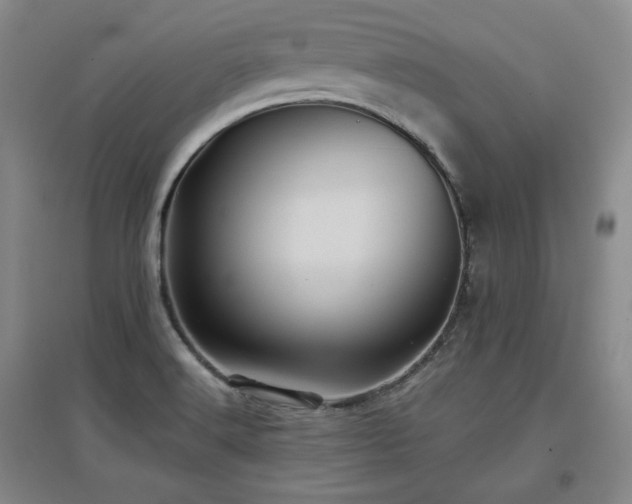 X0000097501516200802221433