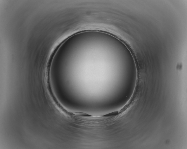 X0000097501517200802221433