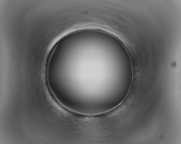 X0000097501518200802221433