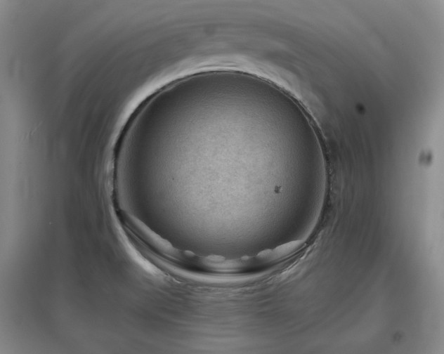 X0000097501519200802221433