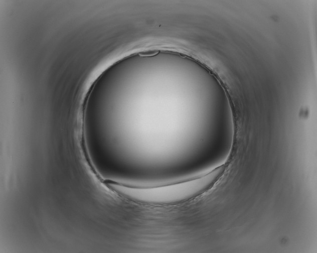X0000097501520200802221433