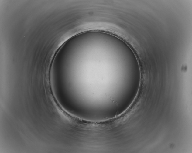 X0000097501521200802221433