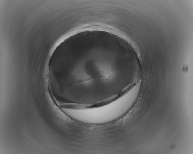X0000097501522200802221433