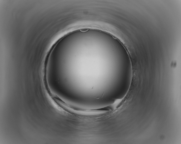 X0000097501523200802221433