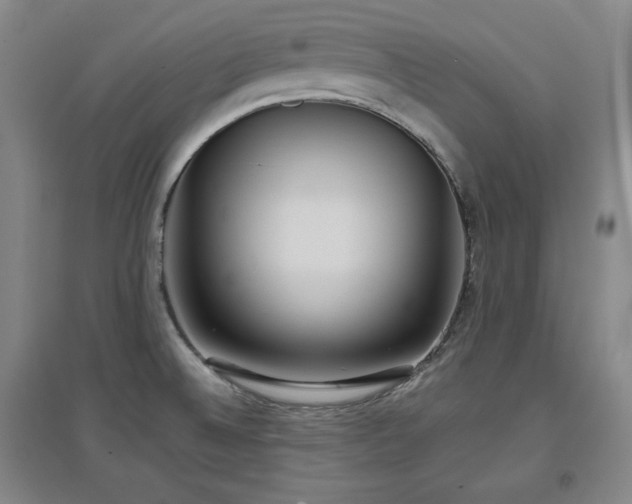 X0000097501524200802221433