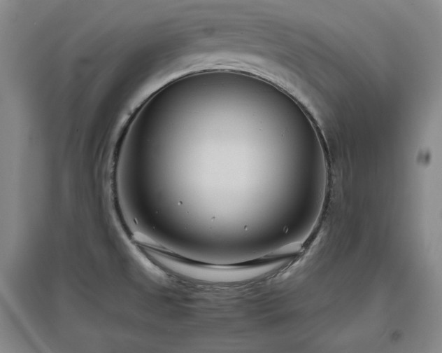 X0000097501525200802221433