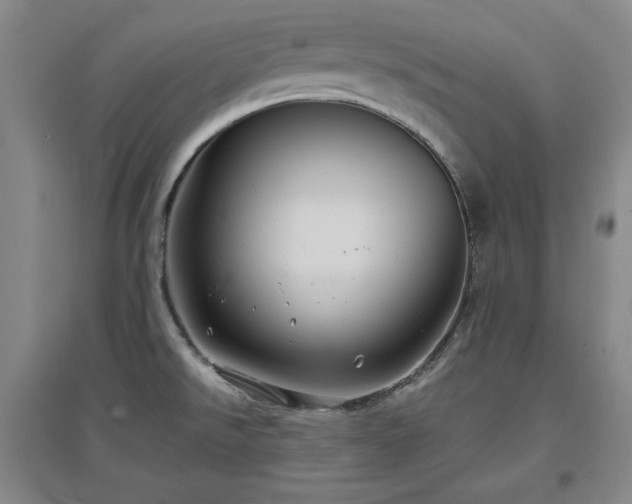 X0000097501526200802221433