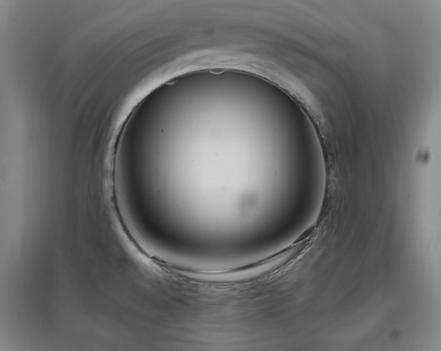 X0000097501528200802221433