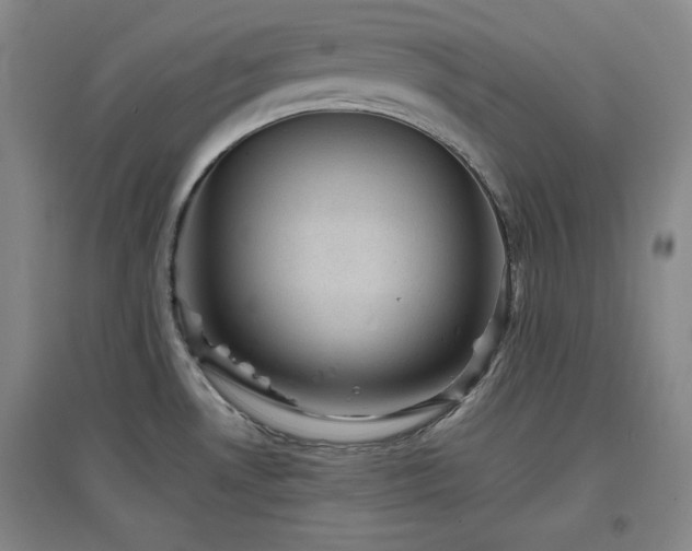 X0000097501530200802221433