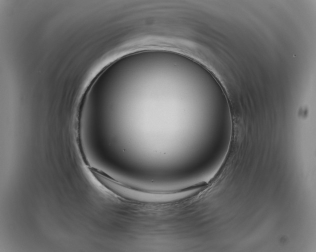 X0000097501531200802221433
