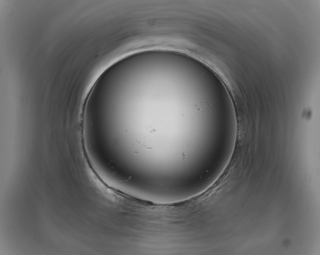 X0000097501532200802221433
