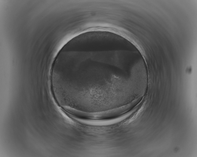 X0000097501533200802221433
