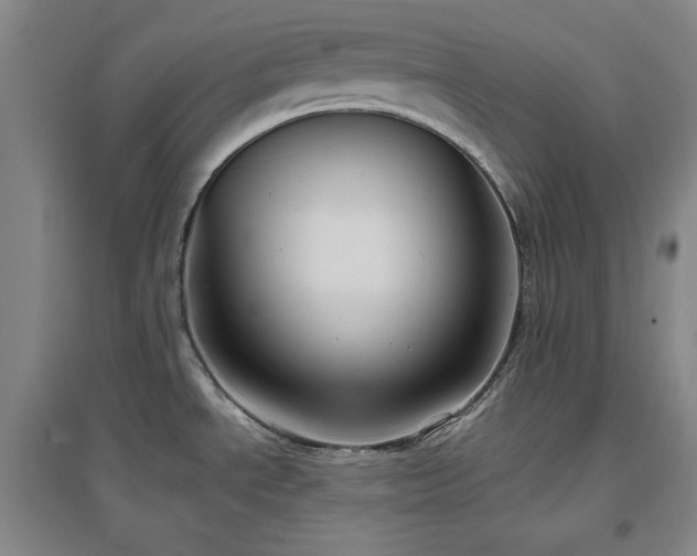 X0000097501534200802221433