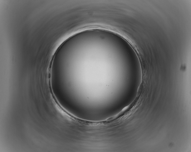 X0000097501535200802221433