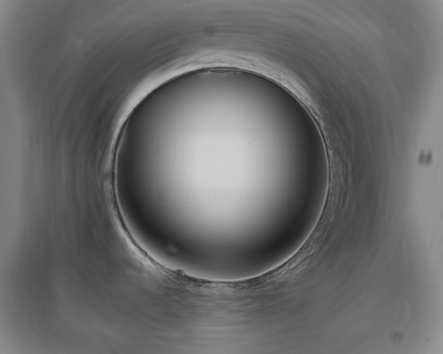 X0000097501536200802221433