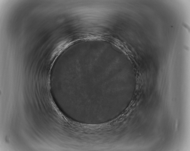 X0000097500002200802291607