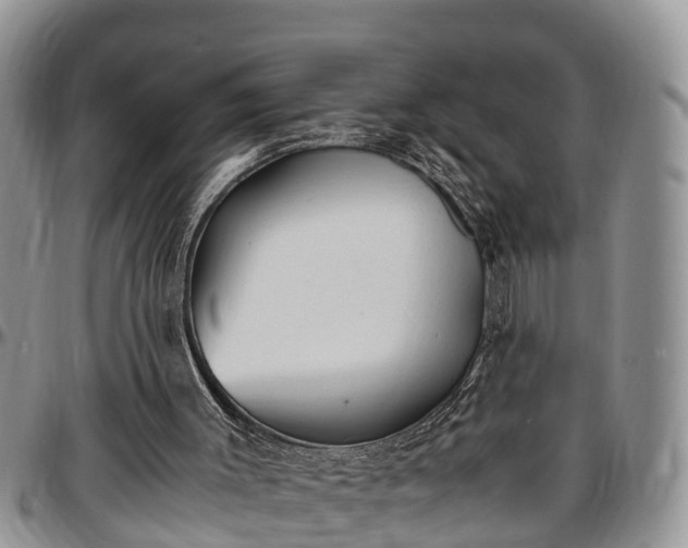 X0000097500003200802291607