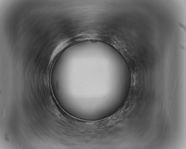 X0000097500004200802291607