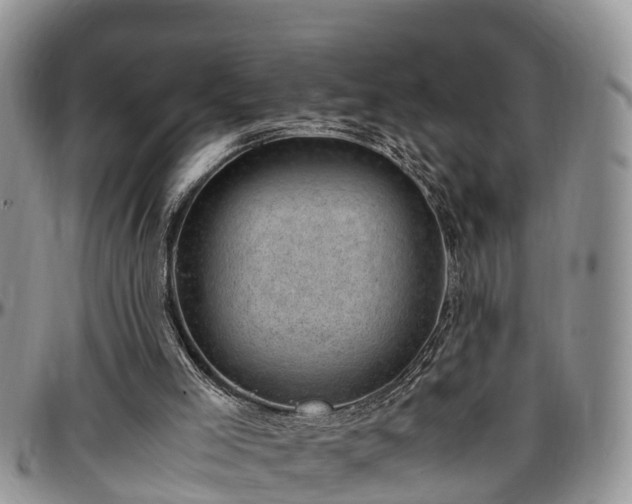 X0000097500005200802291607