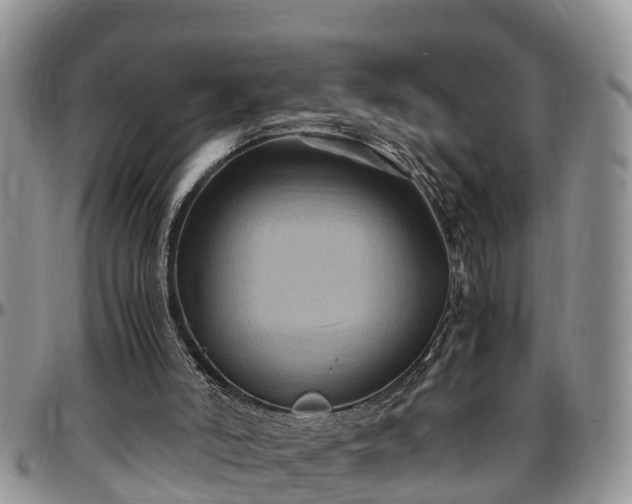 X0000097500006200802291607