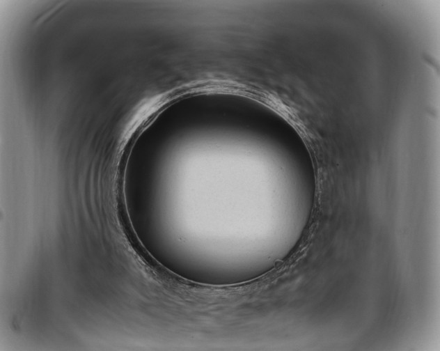 X0000097500007200802291607