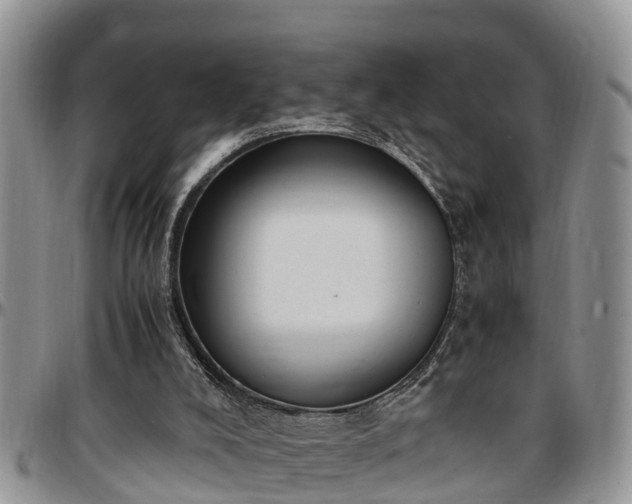 X0000097500008200802291607