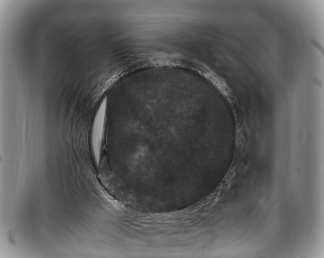 X0000097500009200802291607