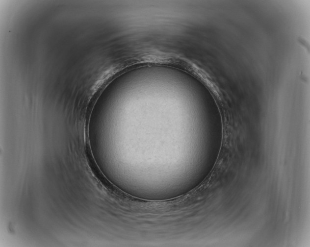 X0000097500011200802291607